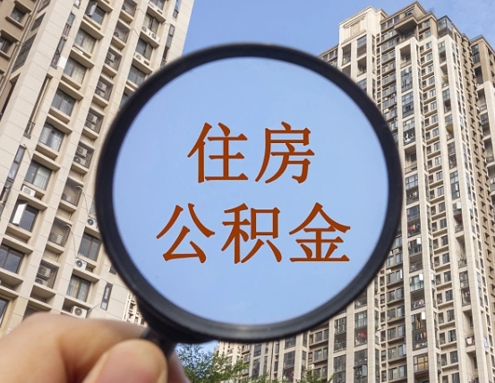 西藏退休后查不到公积金明细了吗（退休后公积金查询不到原因）